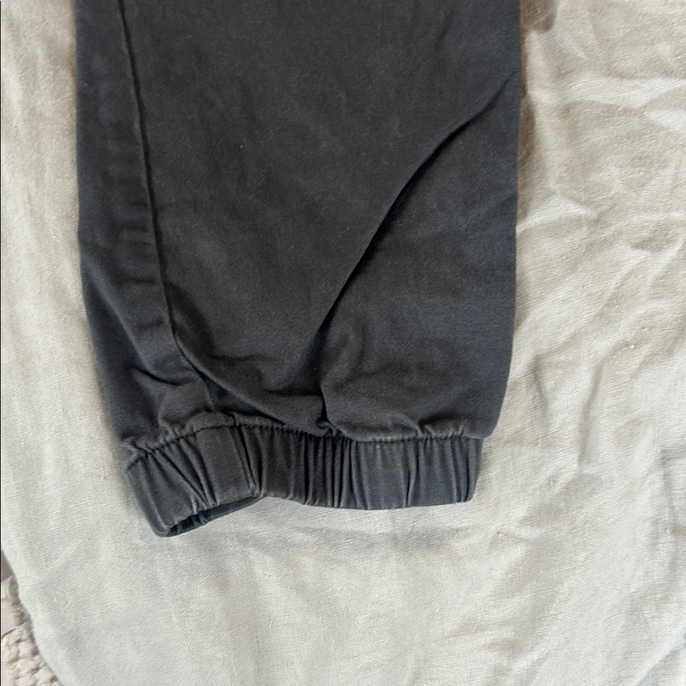 Express Jogger-Style Pant - Picture 2 of 6